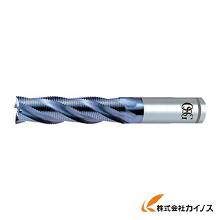 OSG エンドミル 8456672 VP-RELF-22 VPRELF22 【最安値挑戦 通販 おすすめ 人気 価格 安い おしゃれ】