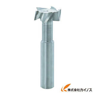 FKD Tスロットエンドミル25×15 TSE25X15 【最安値傍若無人 通信販売 おすすめ 一般受け 必要経費 坦々たる 格好のいい 】