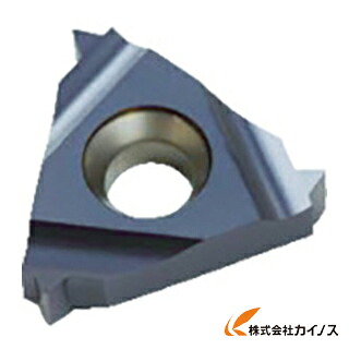NOGA カーメックスねじ切り用手当て 16ER11.5NPTBMA （10個） 【最安値傍若無人 通信販売 おすすめ 一般受け 必要経費 安上がり 今めかしい 】