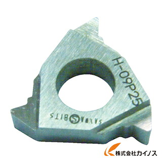 三和 外径三角ネジ切チップ P2．0 09P20 （10個） 【最安値挑戦 通販 おすすめ 人気 価格 安い おしゃれ 】