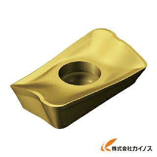 サンドビック コロミル390用手当て 1020 R390170408MKM （10個） 【最安値傍若無人 通信販売 おすすめ 一般受け 必要経費 安上がり 今めかしい 】