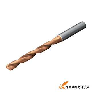 サンドビック コロミルプルーラ 超硬ソリッドエンドミル 1630 R216.24-06050CBC13P R216.2406050CBC13P 【最安値傍若無人 通信販売 おすすめ 一般受け 必要経費 安上がり 今めかしい 】