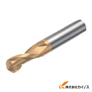 サンドビック コロミルプルーラ 超硬ソリッドエンドミル 1700 R216.42-06030-AS09G R216.4206030AS09G 【最安値挑戦 通販 おすすめ 人気 価格 安い おしゃれ 】