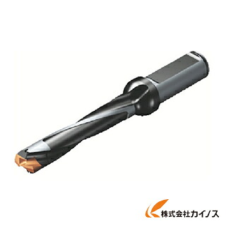 サンドビック コロドリル870 刃先取り替えっこ式せん孔機 870-1150-9L16-5 87011509L165 【最安値傍若無人 通信販売 おすすめ 一般受け 通貨価値 長閑やか 今めかしい】