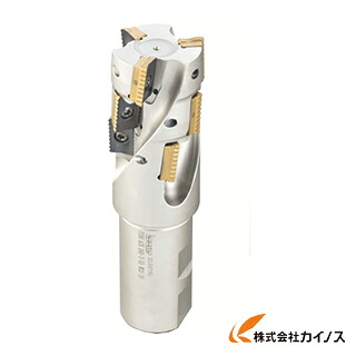 イスカル シュレッドミルP290 ヘリカルエンドミルホルダ P290ACK P290ACKD40390W4018 【最安値挑戦 通販 おすすめ 人気 価格 安い おしゃれ】