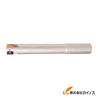 イスカル シュレッドミルP290 エンドミルホルダ P290EPW P290EPWD323170W3218 【最安値挑戦 通販 おすすめ 人気 価格 安い おしゃれ】