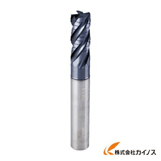 イスカル D ソリッドエンドミル IC900 ERF100A22-4C10 ERF100A224C10 【最安値挑戦 通販 おすすめ 人気 価格 安い おしゃれ 】 13,736円