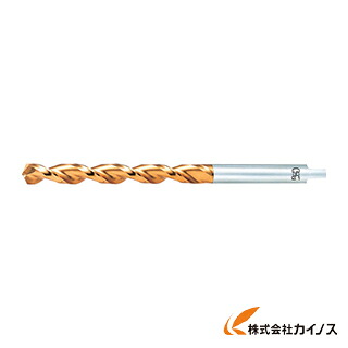 OSG 一般加工用ロング型 ゴールドドリル 8592110 EX-GDXL-11X200X120 EXGDXL11X200X120 【最安値挑戦 通販 おすすめ 人気 価格 安い おしゃれ 】