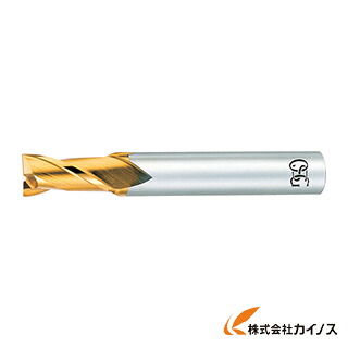 OSG ハイスエンドミル TIN 2刃ショート 24 88034 EX-TIN-EDS-24 EXTINEDS24 【最安値挑戦 通販 おすすめ 人気 価格 安い おしゃれ 】