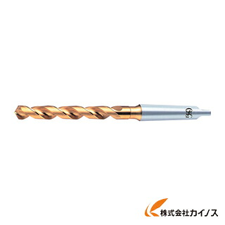 OSG ハイスドリル 65225 MT-SUS-GDR-22.5 MTSUSGDR22.5 【最安値挑戦 通販 おすすめ 人気 価格 安い おしゃれ】