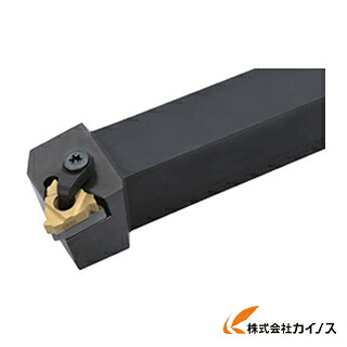 タンガロイ 外径用TAC働き口 CEL2525M22DT 【 通信販売 おすすめ 一般受け 通貨価値 長閑やか 今めかしい】