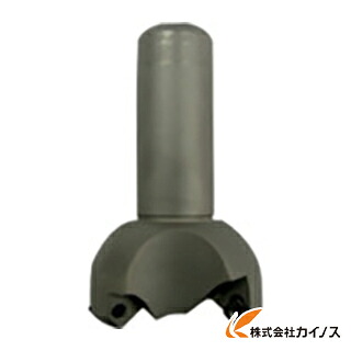 富士元 NEW Tikoかったぁ シャンクφ32 加工径φ80 TKN32-80S-03 TKN3280S03 【 通販 おすすめ 人気 価格 安い おしゃれ】