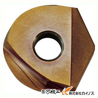 日立ツール カッタ用インサート ZDFG250－SC PN08M PN08M ZDFG250-SC ZDFG250SC （2個） 【 通販 おすすめ 人気 価格 安い おしゃれ 】