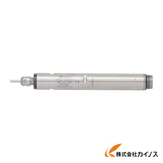 ナカニシ ストレートモータスピンドル（1745） EM20-S6000 EM20S6000 【 通信販売 おすすめ 一般受け 通貨価値 長閑やか 今めかしい】