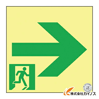 緑十字 高明快さ蓄光避難御引き回しステッカー目じるし 非常口→ 120×120 S級御墨付き品 364961 【 通信販売 おすすめ 一般受け 必要経費 安上がり 今めかしい】