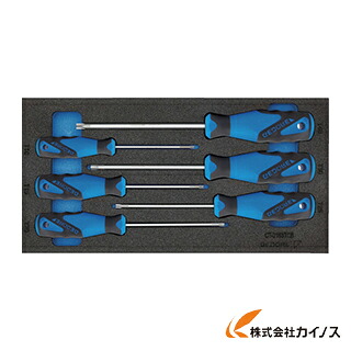 GEDORE トルクスドライバーセット 1500CT1‐2163TX 2309157 【 通信販売 おすすめ 一般受け 必要経費 安上がり 今めかしい 】