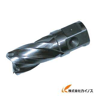 大見 25SQハイスカッター 24.0mm HCSQ240