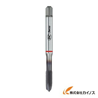 DC SWISS 尖んがり水道栓 H320TC－4 M10 110911
