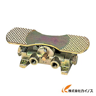 TAIYO フートバルブ 1／4 4FN-20B