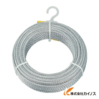 TRUSCO メッキ付ワイヤロープ Φ6mmX100m CWM-6S100