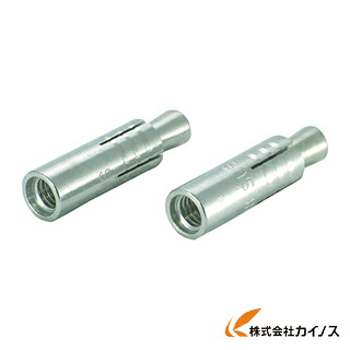ユニカ ルーティカットアンカーステンレス CAS印字機 38CAS 38CAS (100本) その他-花・ガーデン・DIY
