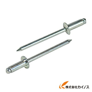 エビ ブラインドリベット（500本入） スティール／スティール 8－8 NS8-8