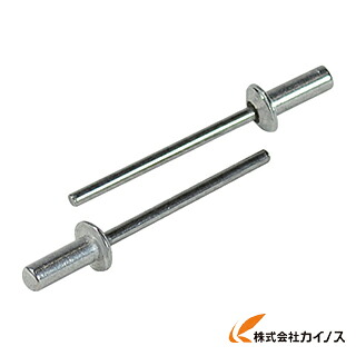 エビ ブラインドリベットシールドタイプ（1000本）軽銀／スチール写真5－6 NSA56C 花・ガーデン・DIY-DIY・工具