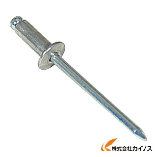 エビ 日おおいリベット（1000本入） 軽銀／スチール写真 4－10 NSA4-10
