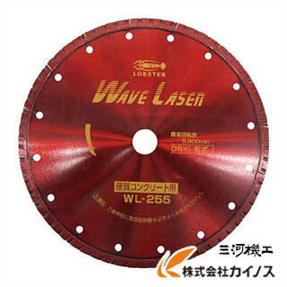 エビ ダイヤモンドホイール ウェブレーザー（乾式） 260mm穴径25.4mm WL255254