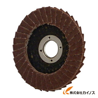 AC テクノディスクA 50X10 ＃100 TD5010-A-100 (20枚)