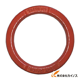 大洋 ハイパーリング 5t 30×200 HLK-5T