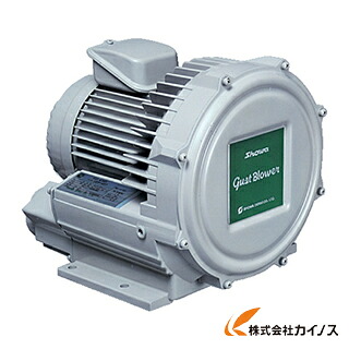 昭和電機 電動送風機 渦流式高圧つづき物 ガストブロアシリーズ（2.2kW） U2V-220