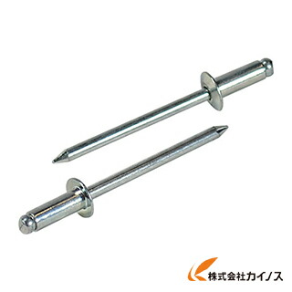 エビ ブラインドリベット（100本入） スティール／スティール NS810EB NS810EB 【 通販 おすすめ 人気 価格 安い おしゃれ 】