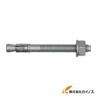 フィッシャー 雄捻子船がかり FBN2 20／30 10本入り口・入口 45573 【 通信販売 おすすめ 一般受け 必要経費 安上がり 今めかしい 】