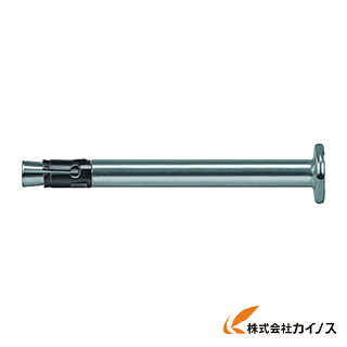 フィッシャー ネイルアンカー FNA2 6X30／100 50本入り口・入口 44119 【 通信販売 おすすめ 一般受け 必要経費 安上がり 今めかしい 】