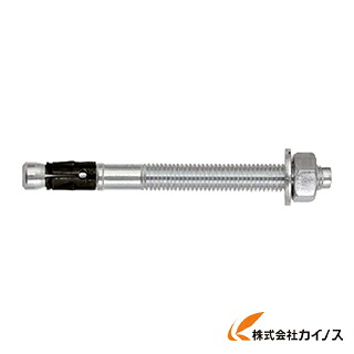 フィッシャー 雄螺子船がかり FAZ2 10／30 25本入り口・入口 94983 【 通信販売 おすすめ 一般受け 必要経費 安あがり 格好のいい 】 花・ガーデン・DIY-その他