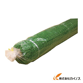 Dio ポリ有結バッティングネット 37．5mm角目 2m×30m（S） 緑 300827 まつうら工業 野球ネット 37.5ミリ目 巾2M 30M巻【トスバッティング ネット 網 あみ 園芸 つる性植物 誘引 ゴミ置き場 カラス対策 通販 おすすめ 人気 価格 安い】