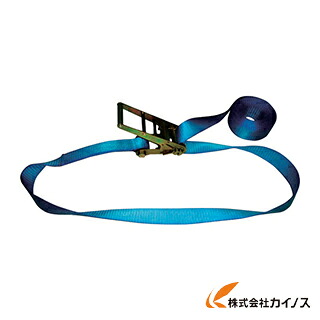 TESAC ラッシングベルト（胴締め荷締機）ラチェットバックル式エンドレスタイプ R100N080-000A R100N080000A 【 通信販売 おすすめ 一般受け 必要経費 安上がり 今めかしい】