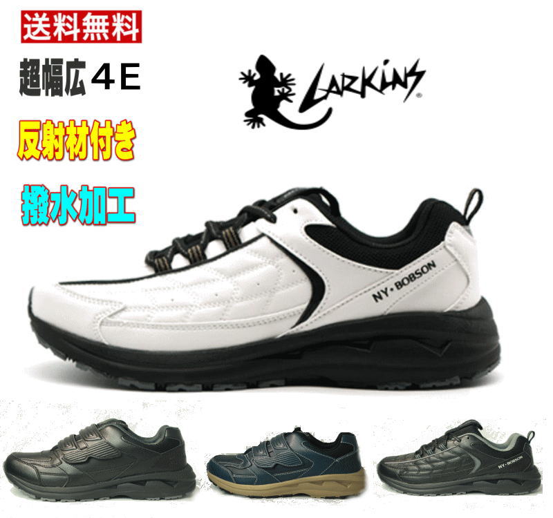 larkinnsu6560.jpg