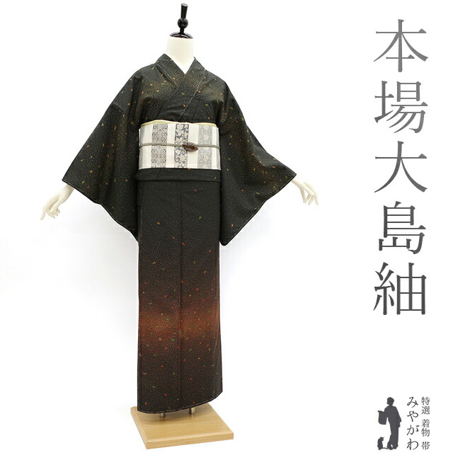 D782 本場大島紬　宮之原織物　江戸小紋　訪問着　正絹　着物　袷　未使用極美品 sb13524_1.jpg