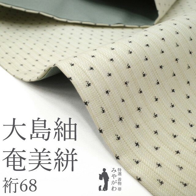 【中古】 本場奄美大島紬 着物 リサイクル 袷 正絹 奄美絣 15半ヨミ 練色地 縦横絣 蚊絣 十字絣 大島紬 川口織物 モダン 極上 カジュアル 春 秋 冬 美品 仕立て上がり 身丈168 裄丈68 Lサイズ みやがわ sb17735|リサイクル着物 みやがわ 中古着物