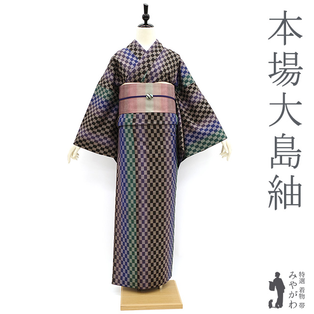 楽天市場】【新古品】夏物 小千谷ちぢみ 小千谷縮 単衣 着物 絵羽柄 縮