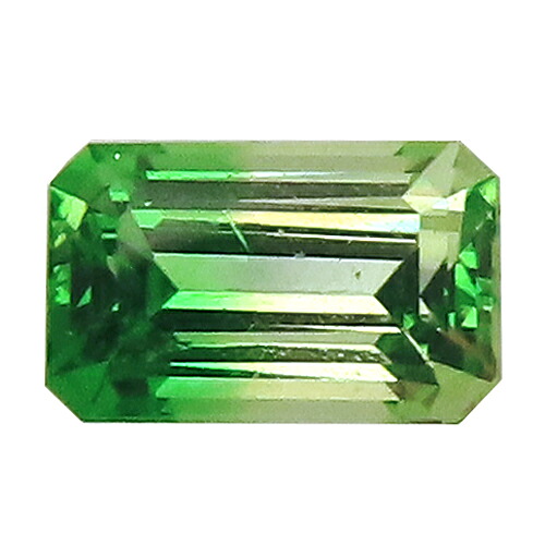 ルース グロッシュラーバイカラー 0.68ct スキッと鮮やかな緑と薄っすらと淡い緑 高彩度 ケニア ソーティング付 瑞浪鉱物展示館 5530｜瑞浪鉱物展示館