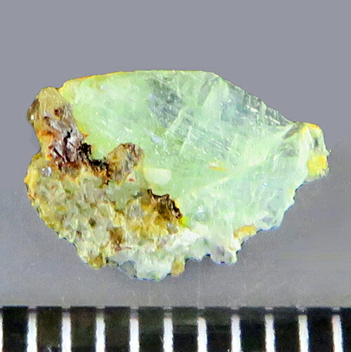 フォスフォフィライト PHOSPHOPHYLLITE 鉱物標本 結晶 宝石の国で注目 絶産 超貴重品 ボリビア 【鉱物標本プレゼント】 瑞浪鉱物展示館 5845画像
