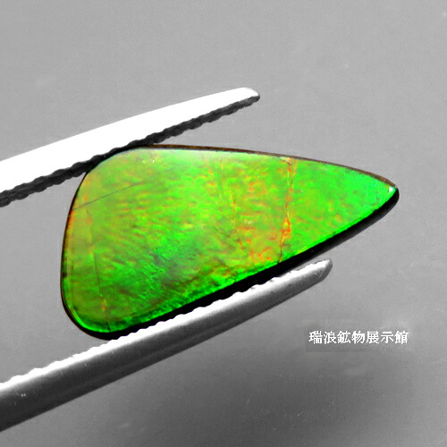 天然 アンモライト AMMOLITE 3.61ct 緑のラスター アンモナイト化石 カナダ 【鉱物標本プレゼント】 瑞浪鉱物展示館 5857|瑞浪鉱物展示館