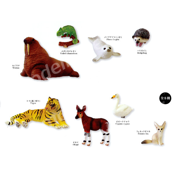 楽天市場 ミニチュアプラネット Vol ６全８種エイコー Miniature Planetプライズ クレーンゲーム 動物 アニマル モデルベースｚ