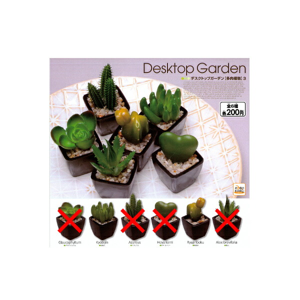 楽天市場 デスクトップガーデン 多肉植物 パート３ 全６種システムサービスガチャポン ガシャポン ガチャガチャ モデルベースｚ