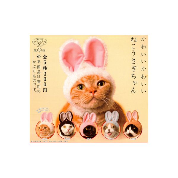 楽天市場】アニコラシリーズBUNEKO パート1より 3種