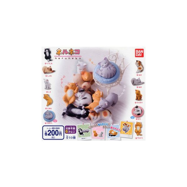 楽天市場】【送料無料!】 ムニュムニュ ドレミファキャット 全8種