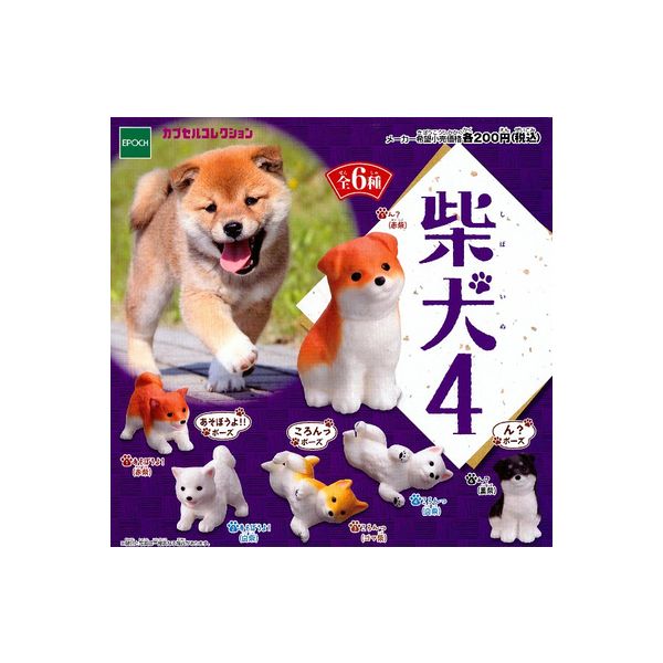 楽天市場 柴犬 パート４ 全６種エポック社ガチャポン ガシャポン ガチャガチャ モデルベースｚ
